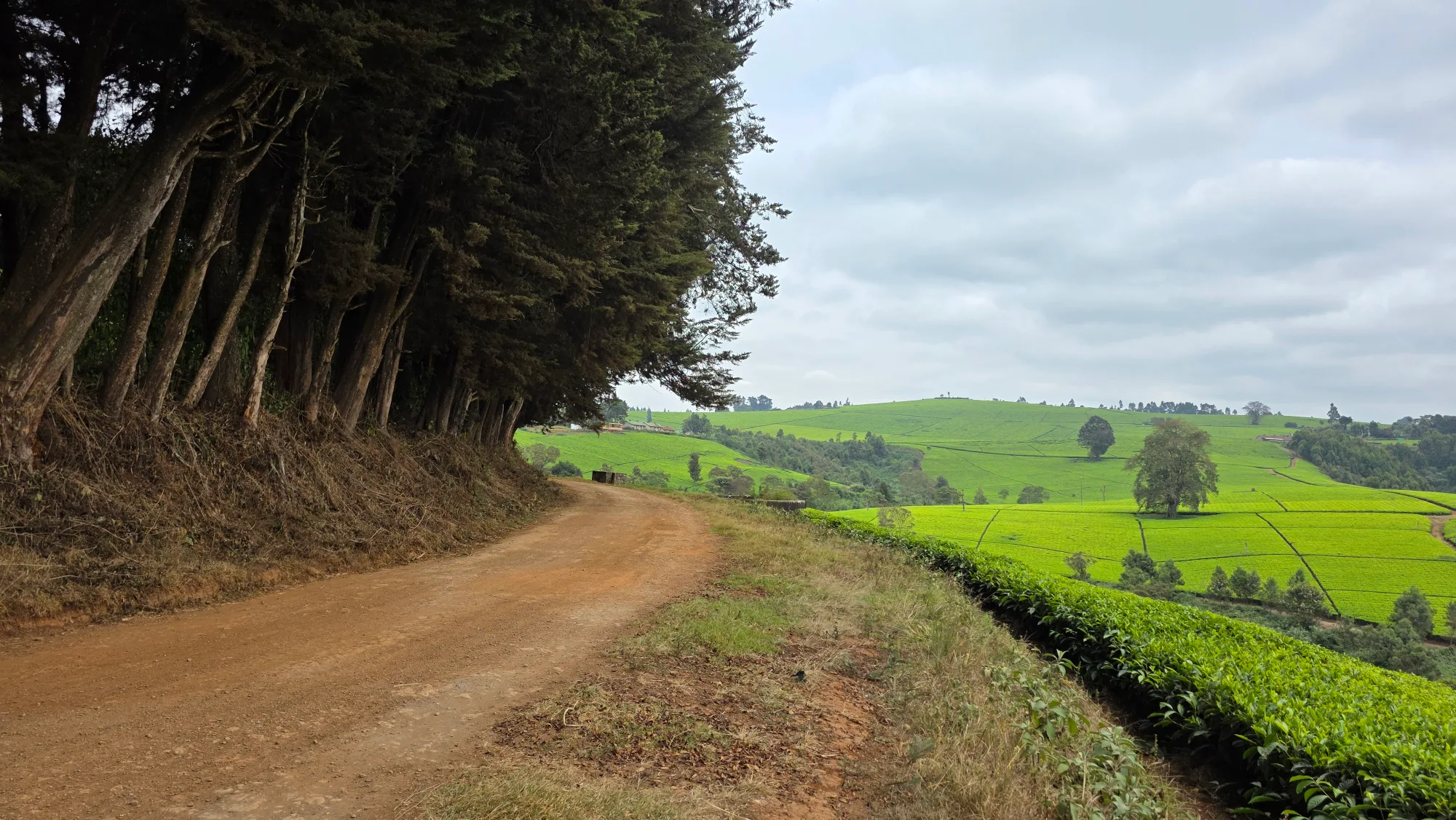 0 bedroom land for sale in Tigoni — ½-Acre Residential Plots for Sale in Tigoni, Cianda – 17.5M